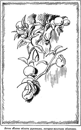 Мария Прилежаева - Всего несколько дней