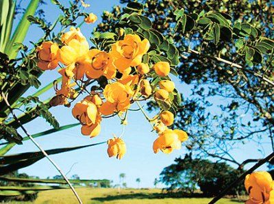 Мария Сигалова, Екатерина Печенихина - Бразилия