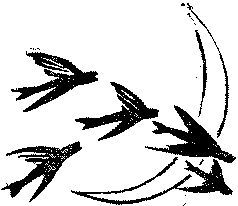 Тур Хейердал - От "Кон-Тики" до "Ра"