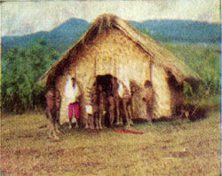 Петр Якеш - К вулканам Тихого океана