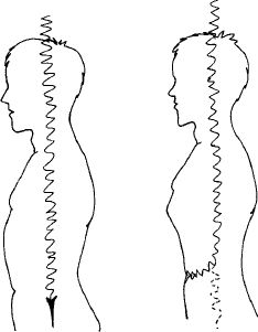 Дмитрий Верищагин - Становление