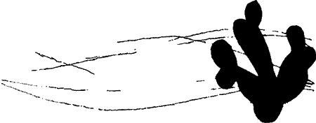 Игорь Акимушкин - Занимательная биология