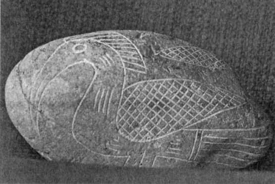 Эрих Фон Дэникен - Загадочные рисунки Наска