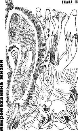 Игорь Акимушкин - Занимательная биология