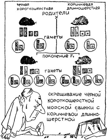 Игорь Акимушкин - Занимательная биология
