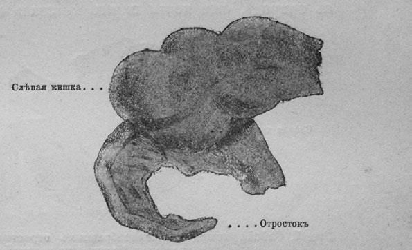 Илья Мечников - Этюды о природе человека