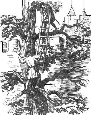 Александр Дюма - Асканио