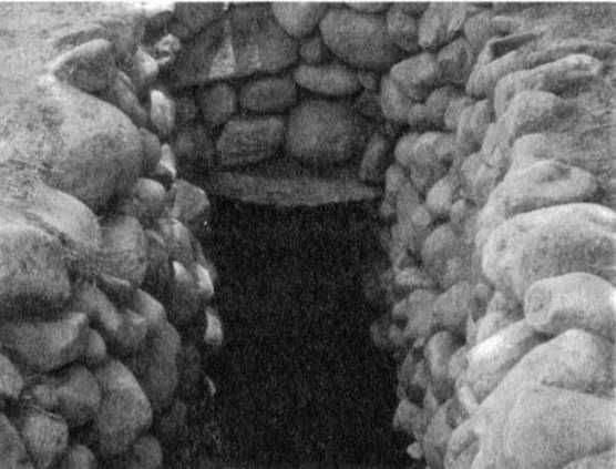 Эрих Фон Дэникен - Загадочные рисунки Наска