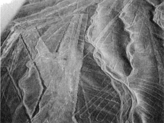 Эрих Фон Дэникен - Загадочные рисунки Наска