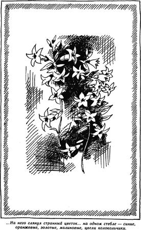 Мария Прилежаева - Всего несколько дней