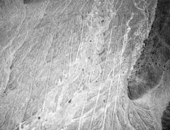 Эрих Фон Дэникен - Загадочные рисунки Наска