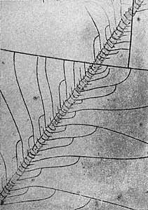 Джеймс Гордон - Почему мы не проваливаемся сквозь пол
