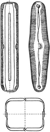 Александр Цингер - Занимательная ботаника