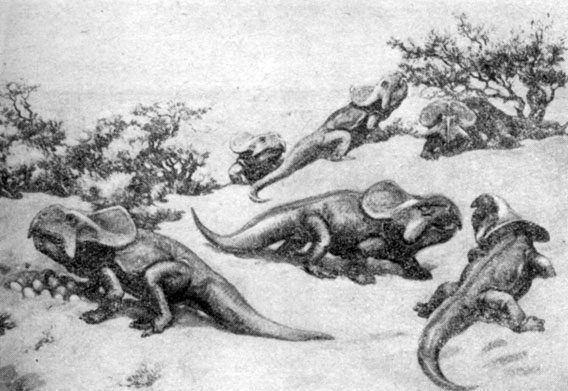 Анатолий Рождественский - На поиски динозавров в Гоби