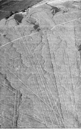 Эрих Фон Дэникен - Загадочные рисунки Наска