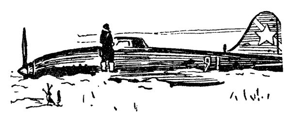 Генрих Гофман - Самолет подбит над целью