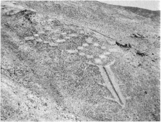 Эрих Фон Дэникен - Загадочные рисунки Наска