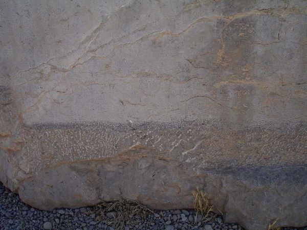 Андрей Скляров - Обитаемый остров Земля