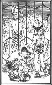 Саида Сахарова - Чудеса в решете