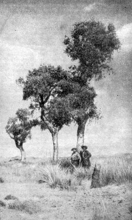 Анатолий Рождественский - На поиски динозавров в Гоби