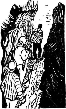 Юань Цзин - Особое задание