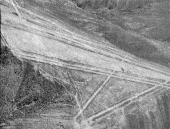 Эрих Фон Дэникен - Загадочные рисунки Наска