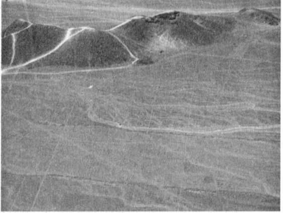 Эрих Фон Дэникен - Загадочные рисунки Наска