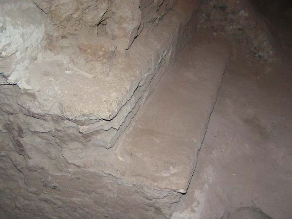 Андрей Скляров - Обитаемый остров Земля