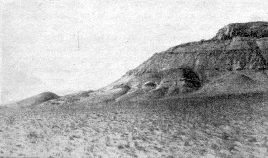 Анатолий Рождественский - На поиски динозавров в Гоби