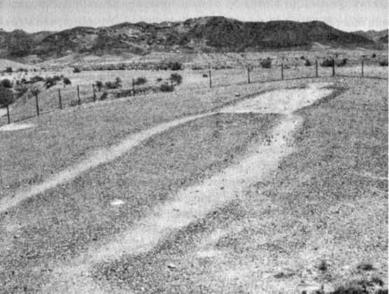 Эрих Фон Дэникен - Загадочные рисунки Наска