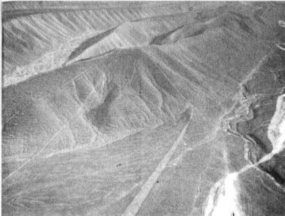 Эрих Фон Дэникен - Загадочные рисунки Наска