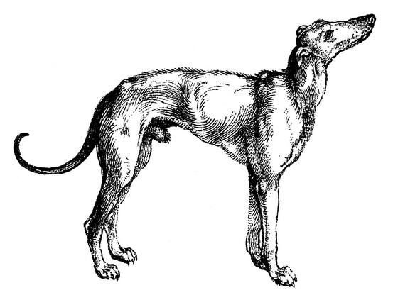 Ника Соболева - Избранное. Стихотворения