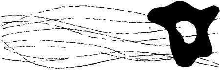 Занимательная биология