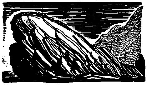 Рокуэлл Кент - В диком краю