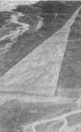 Эрих Фон Дэникен - Загадочные рисунки Наска