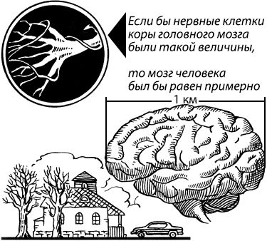 Константин Платонов - Занимательная психология