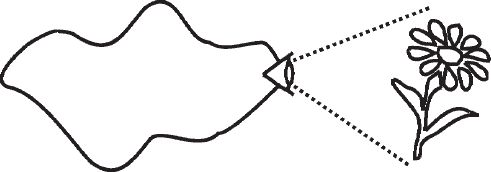 Игорь Калинаускас - Наедине с миром