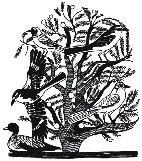 Джон Уайт - Боги и люди Древнего Египта