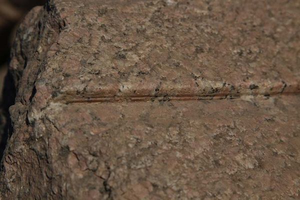 Андрей Скляров - Обитаемый остров Земля