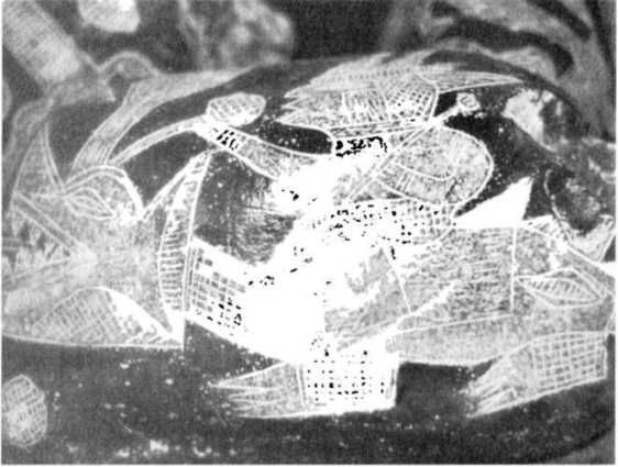 Эрих Фон Дэникен - Загадочные рисунки Наска