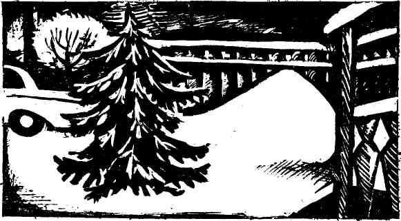 Юрий Авдеенко - Дикий хмель