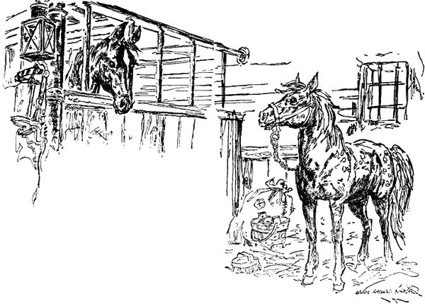 Анна Сьюэлл - Черный Красавчик (с иллюстрациями)