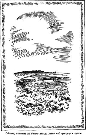 Мария Прилежаева - Всего несколько дней