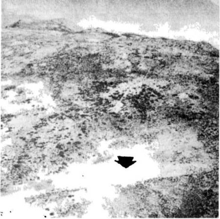 Эрих Фон Дэникен - Загадочные рисунки Наска