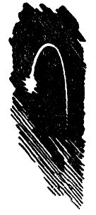 Генрих Гофман - Самолет подбит над целью