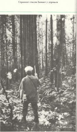 Хеймиш Макиннинс - Восхождение в затерянный мир