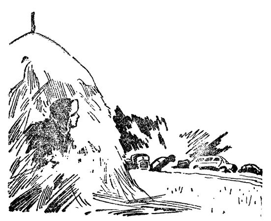 Генрих Гофман - Самолет подбит над целью