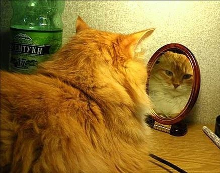 Валентина Ахметзянова - Готовимся к пенсии: осваиваем Интернет