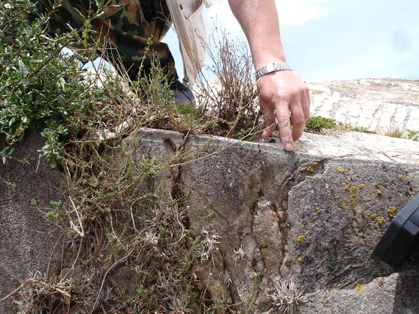 Андрей Скляров - Обитаемый остров Земля