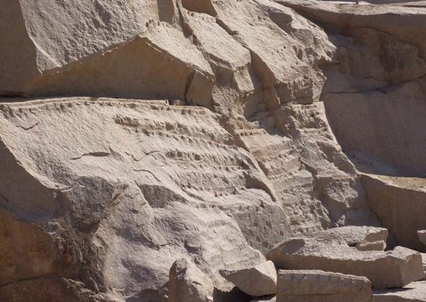 Андрей Скляров - Обитаемый остров Земля